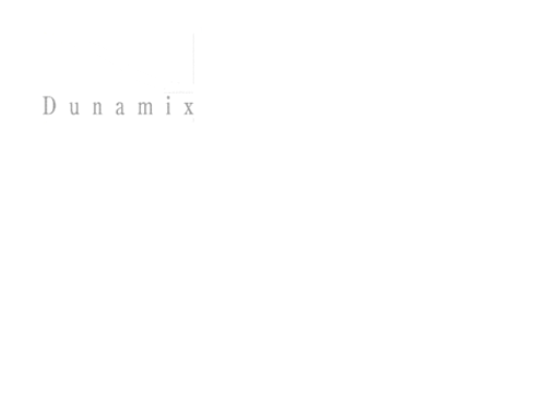 株式会社デュナミス